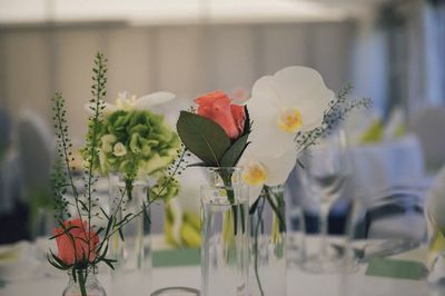 Close-up of fresh roses in vase on table