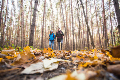 People walking on autumn leaves in forest