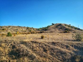 Scenic view of field against clear blue sky