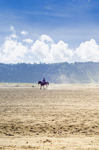 Man riding horse on sand