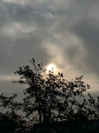 Low angle view of silhouette tree against sky at sunset