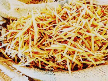 High angle view of orange slices in plate