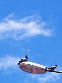 Low angle view of airplane flying against blue sky