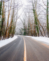 Road amidst bare trees