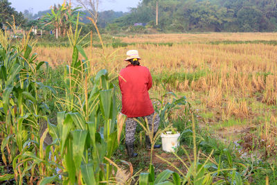 Rear view of man standing in farm