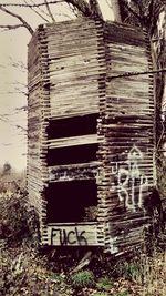 Stack of wood against trees