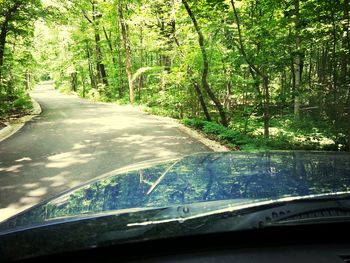 Road passing through trees