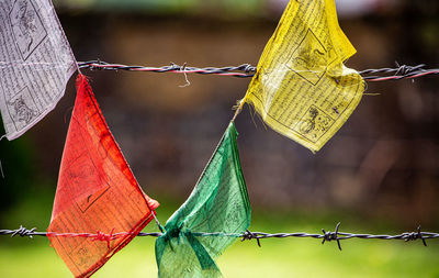 Close-up of prayer flags on fence