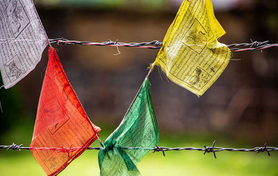 Close-up of rope tied up on fence