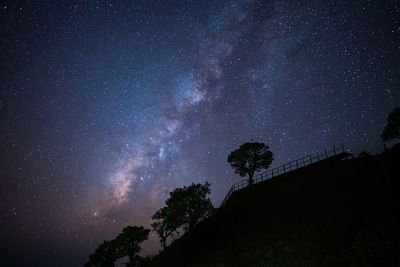 Low angle view of silhouette trees against star field at night