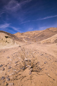 Scenic view of desert against sky
