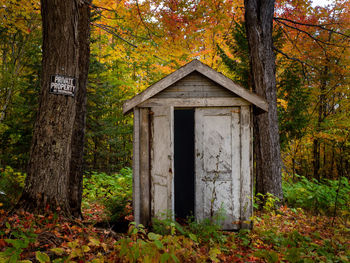 View of trees in forest