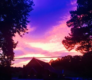 Low angle view of trees against sky at sunset