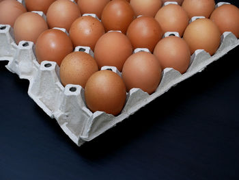 High angle view of eggs in container