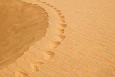 Footprints in a desert with red sand.