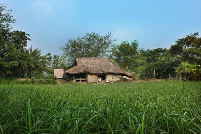 House on field against sky