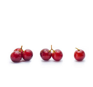 Close-up of tomatoes against white background