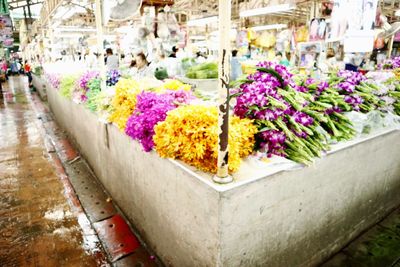 Close-up of multi colored flowers for sale in market