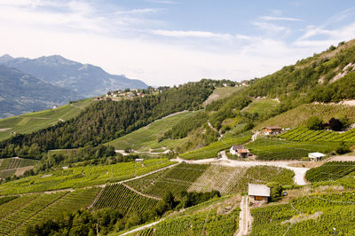 Scenic view of agricultural field by mountains against sky