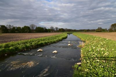 Scenic view of agricultural landscape against sky