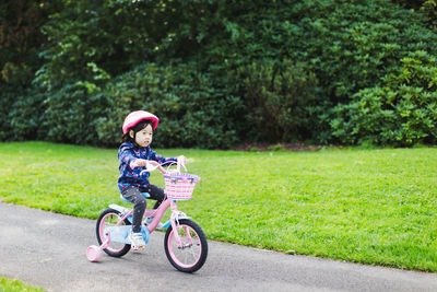 Portrait of boy riding bicycle on grass