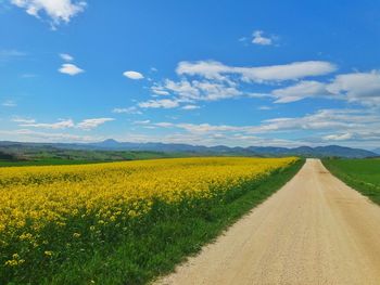 Scenic view of yellow flowering field against sky