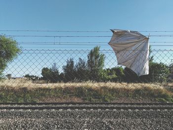 Grass against clear sky