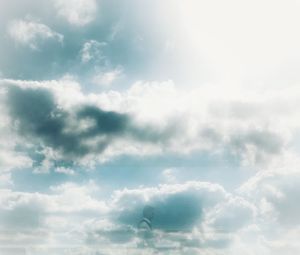 Low angle view of bird flying in sky