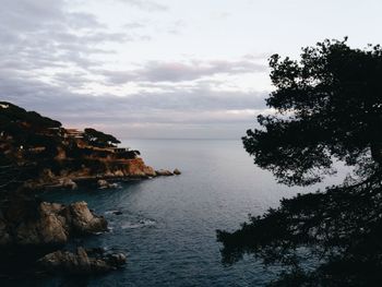 Scenic view of sea and trees against sky