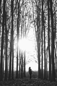 Rear view of silhouette man standing by trees in forest