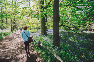 Rear view of woman walking by plants on dirt road at forest