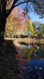 Scenic view of lake by trees against sky