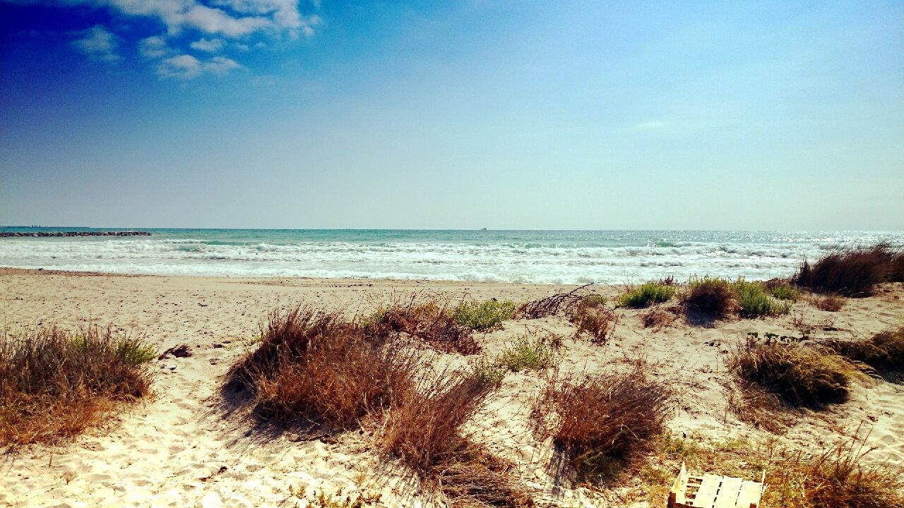 beach, sea, horizon over water, sand, shore, water, tranquil scene, tranquility, scenics, sky, beauty in nature, nature, blue, idyllic, clear sky, sunlight, coastline, remote, day, outdoors