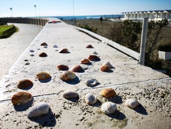 Surface level of stones on beach