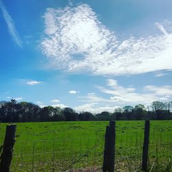 Scenic view of grassy field against cloudy sky