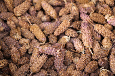 Full frame shot of dried beans