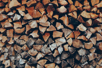 Full frame shot of logs in forest