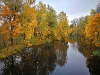 Trees by lake against sky during autumn