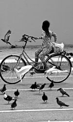 Close-up of built structure