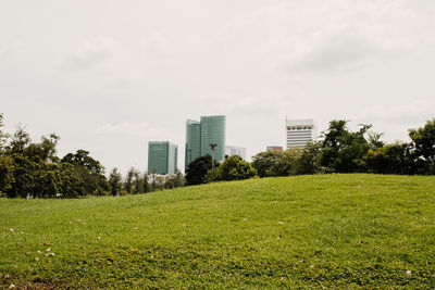 Trees growing on field against buildings in city against sky