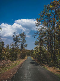 Road amidst trees against sky