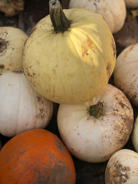 High angle view of pumpkins for sale at market stall