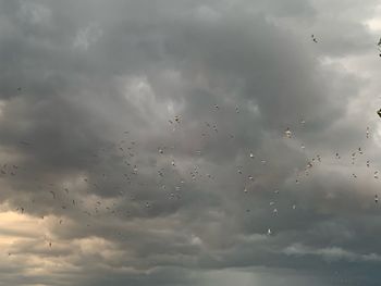 Low angle view of raindrops on sky