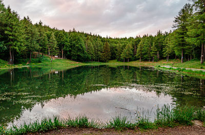 Lake of the nymph