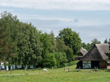 Ahrenshoop at the baltic sea