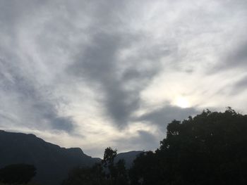 Low angle view of trees against sky