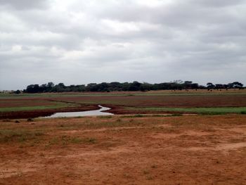 Scenic view of field against sky