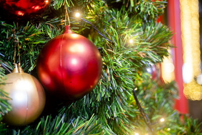 Close-up of christmas tree