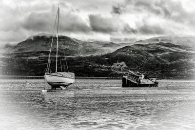 Sailboats sailing on sea against sky