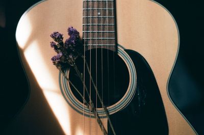 High angle view of guitar on plant